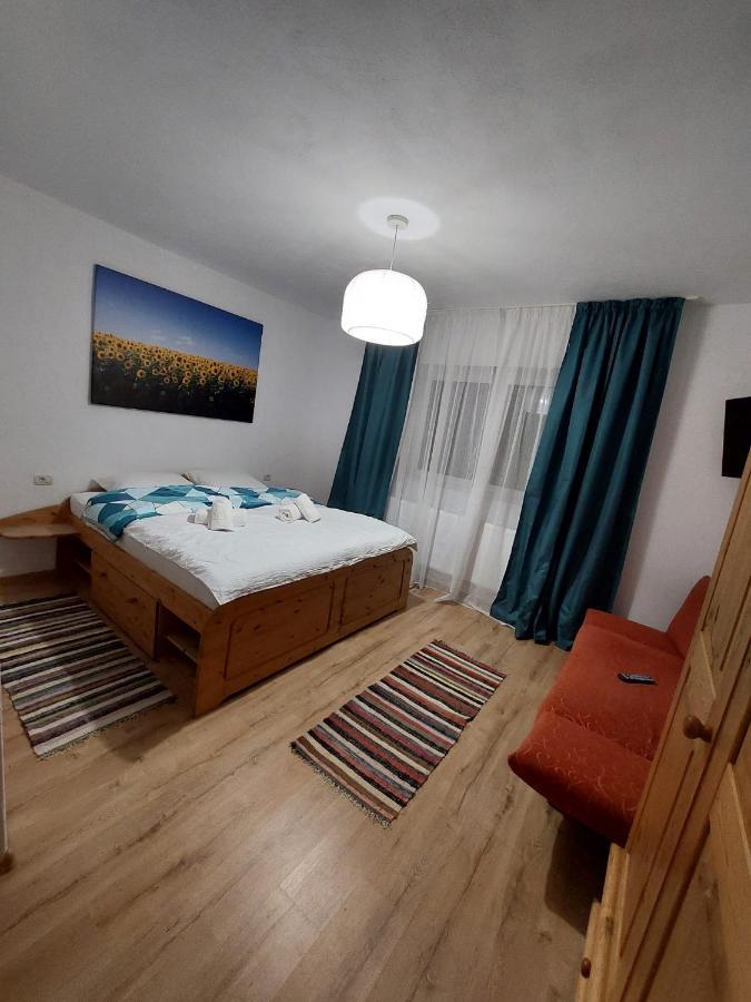 Casuta De Sub Munte Cartisoara Villa Buitenkant foto